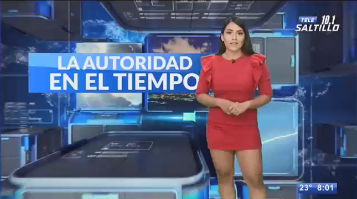 Monitor de Testigos de television (2019).